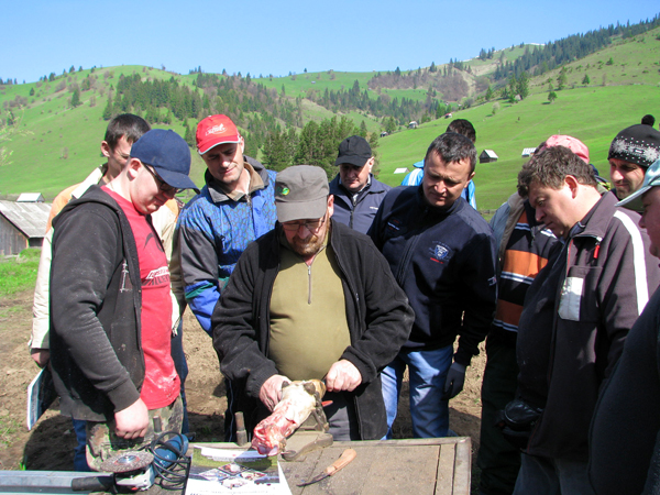 Köbi Sturzenegger zeigt den interessierten Siebenbürgner Bauern, wie man die Klauen einer Kuh fachgerecht schneidet. (Bild zvg)