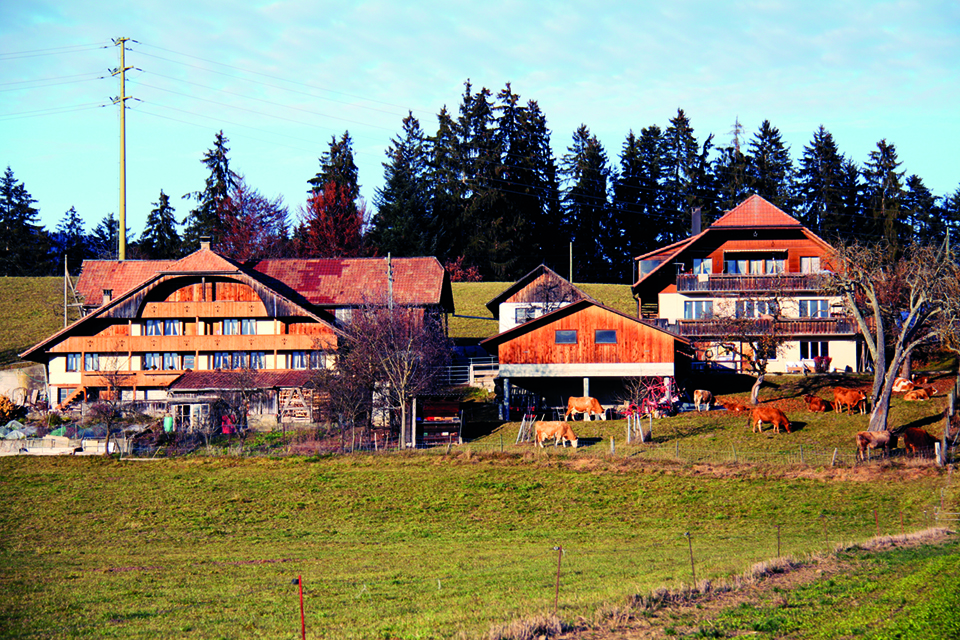 «Drei Initiativen fordern Sicherheit in der Nahrungsmittelversorgung und betonen die Bedeutung einer nachhaltigen und ressourcenschonenden, einheimischen Produktion.» (Bild thk)