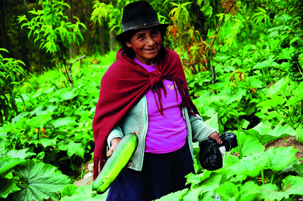 Diese Bäuerin aus Ecuador präsentiert ihre Ernte, hervorgegangen aus agroökologischem Anbau. Im Hintergrund ist ihre diversifizierte Produktion auszumachen. (Bild Swissaid)