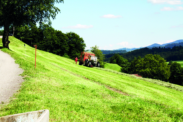 Emden im Toggenburg: «Der globalisierte Markt übt den gleichen Druck auch auf den Biomarkt aus. Die Schweizer Landwirtschaft ist geschwächt und droht zu kollabieren.» (Bild thk)